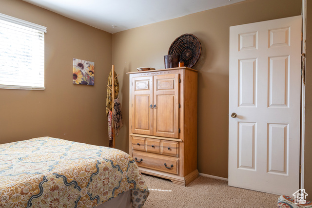 Photo 46 for MLS #2105279 at 9673 S Chylene Dr