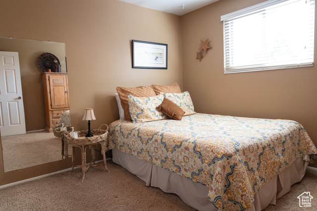 Photo 44 for MLS #2105279 at 9673 S Chylene Dr