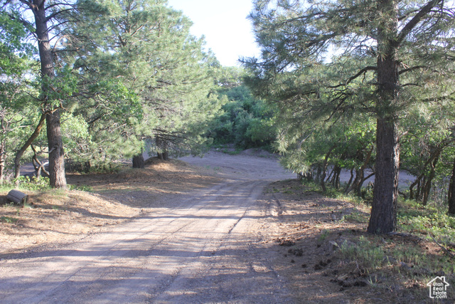 Photo 5 for MLS #2105288 at 2498 W Silverado Rdg