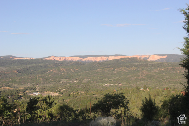 Photo 8 for MLS #2105288 at 2498 W Silverado Rdg