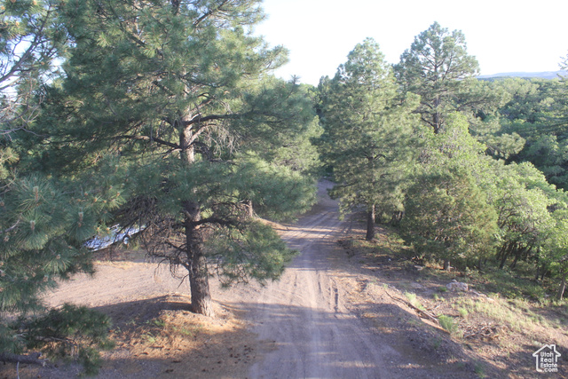 Photo 19 for MLS #2105288 at 2498 W Silverado Rdg