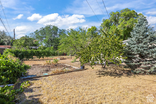 Photo 36 for MLS #2105295 at 523 W Loyal Dr