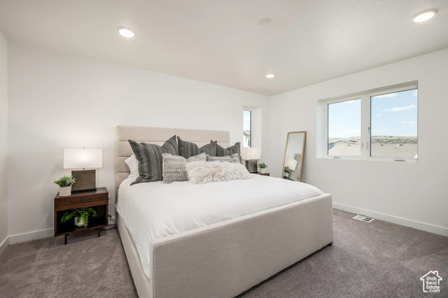 Photo 3 for MLS #2105336 at 909 W Bullion St #11