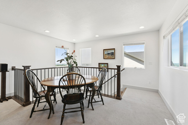 1390 E Orchard Ridge Ln