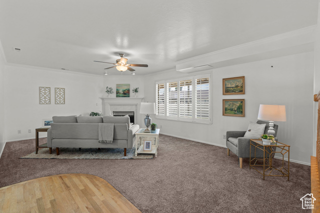 Photo 15 for MLS #2105350 at 9982 S Eden View Ct