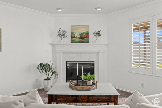 Photo 16 for MLS #2105350 at 9982 S Eden View Ct