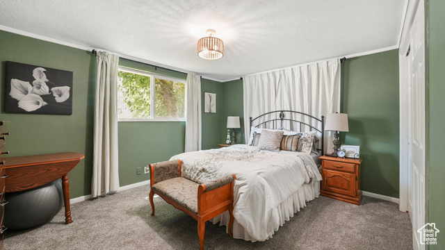 Photo 11 for MLS #2105360 at 530 W Maple St