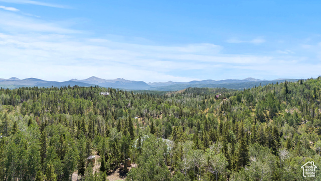 Photo 71 for MLS #2105376 at 4725 Pine Ridge Rd
