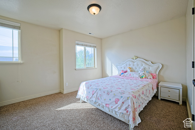 Photo 32 for MLS #2105442 at 1332 E Cinnamon Ridge Way