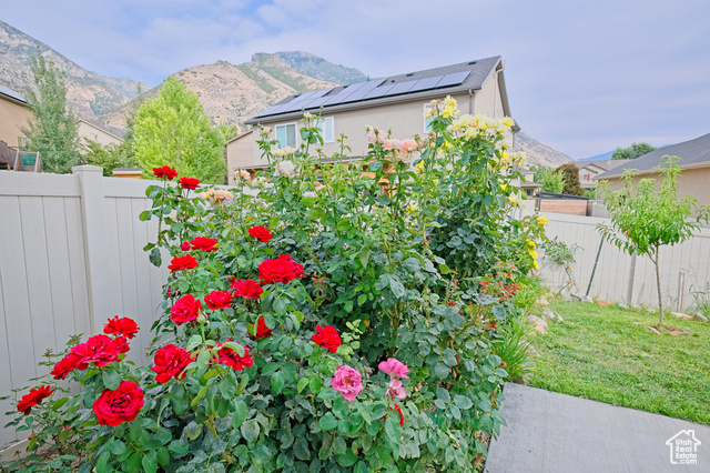 Photo 37 for MLS #2105442 at 1332 E Cinnamon Ridge Way