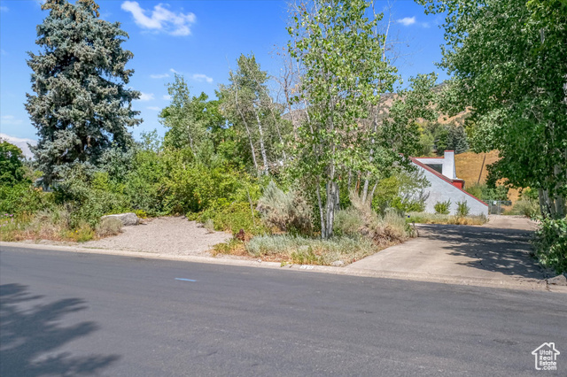 Photo 94 for MLS #2105509 at 510 Spring Creek Rd