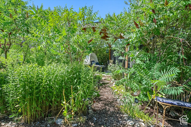 Photo 75 for MLS #2105509 at 510 Spring Creek Rd