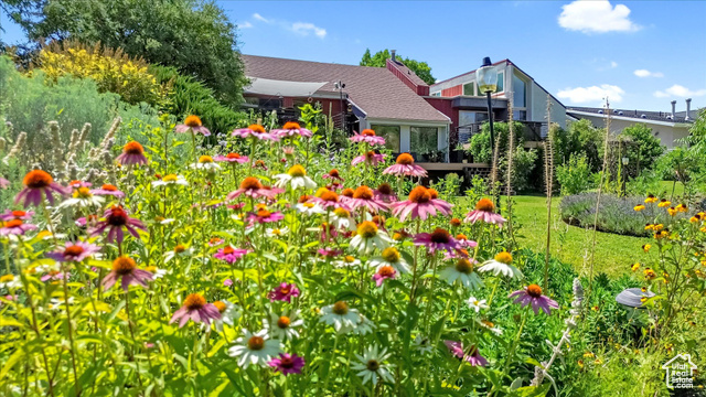 Photo 65 for MLS #2105509 at 510 Spring Creek Rd