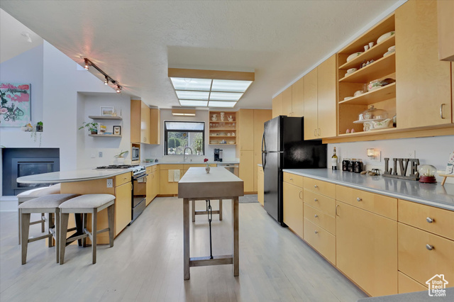Photo 16 for MLS #2105509 at 510 Spring Creek Rd
