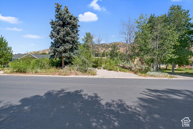 Photo 93 for MLS #2105509 at 510 Spring Creek Rd