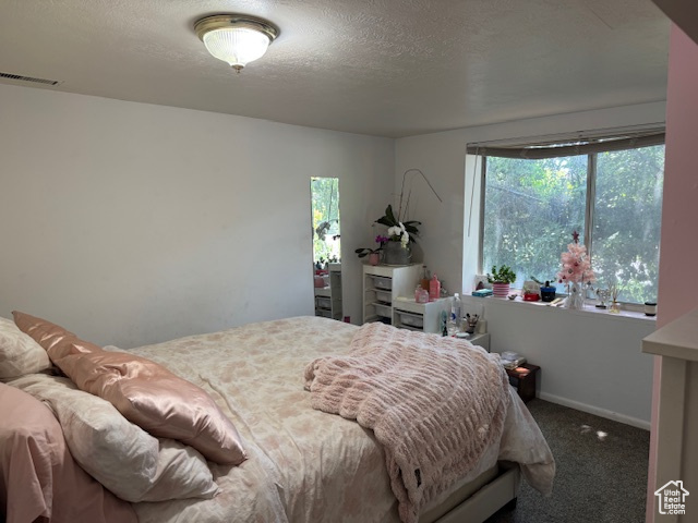 Photo 26 for MLS #2105628 at 4600 S Creekview Dr