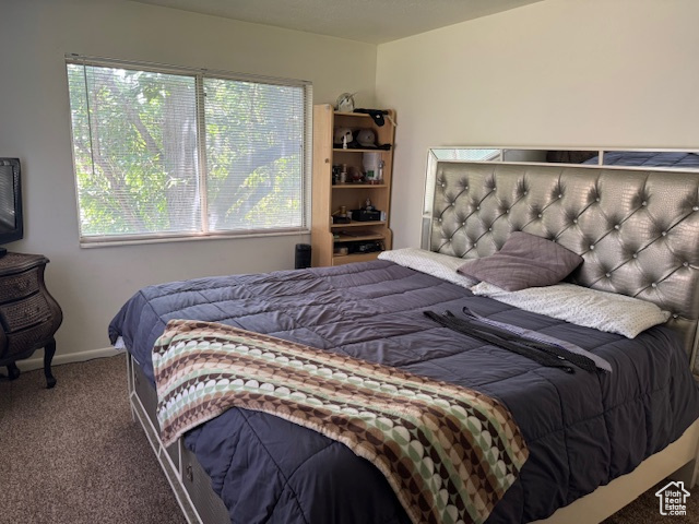 Photo 14 for MLS #2105628 at 4600 S Creekview Dr