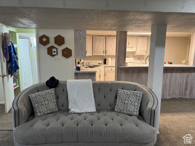 Photo 20 for MLS #2105628 at 4600 S Creekview Dr