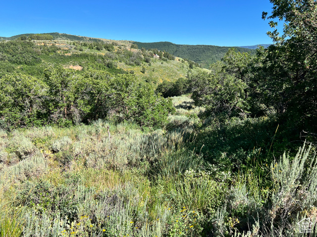 52 N BOTTOM SAGEHEN LOOP, Huntsville UT 84317