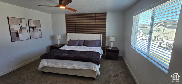 Photo 16 for MLS #2105651 at 7774 W Marwari Rd