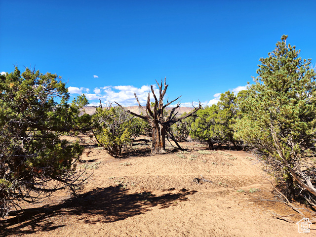 , Duchesne UT 84021