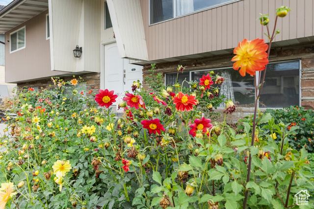 Photo 2 for MLS #2105715 at 1290 E 700 South
