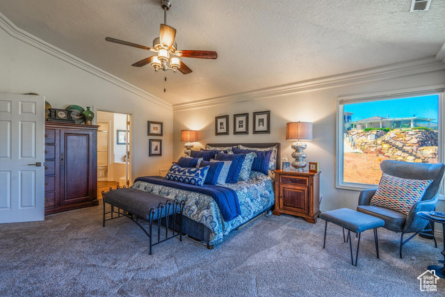 Photo 29 for MLS #2105721 at 2244 Putters Cir