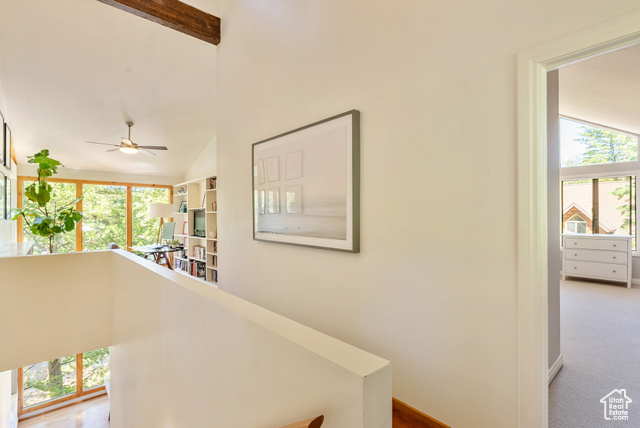 Photo 22 for MLS #2105817 at 485 Upper Evergreen Dr