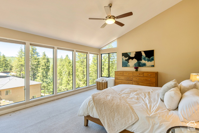 Photo 23 for MLS #2105817 at 485 Upper Evergreen Dr