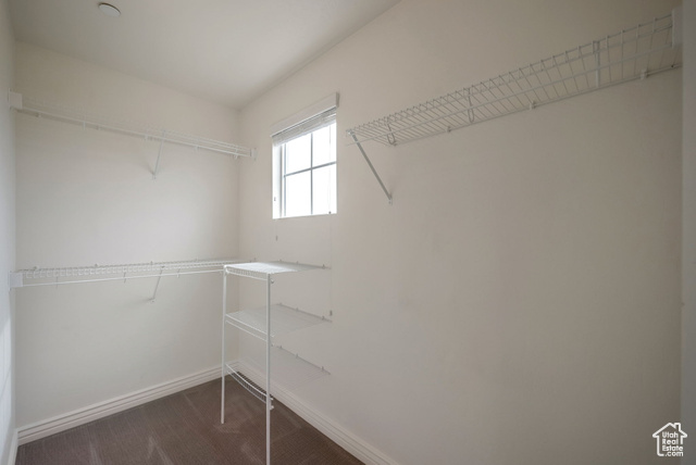 Photo 10 for MLS #2105860 at 11756 S Currant Dr #111