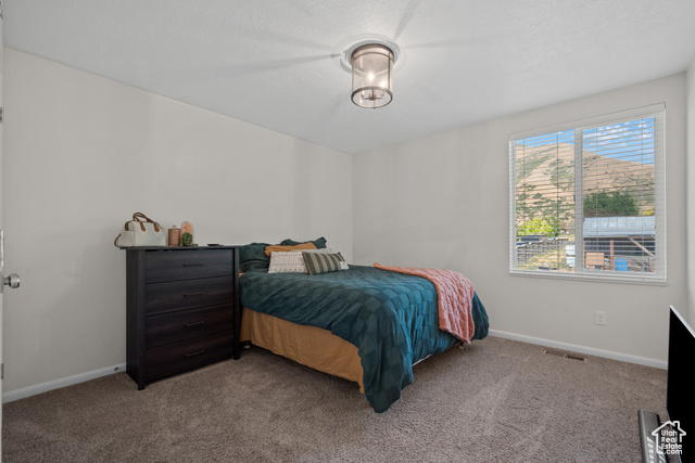 Photo 69 for MLS #2105899 at 434 N 1400 East