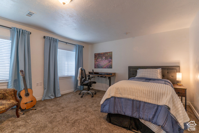 Photo 47 for MLS #2106109 at 391 W 370 South