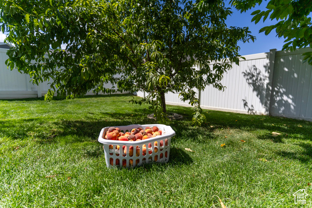 Photo 10 for MLS #2106109 at 391 W 370 South