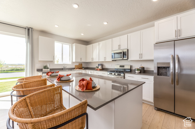 Photo 8 for MLS #2106158 at 1683 W Blue Flax Dr #1536