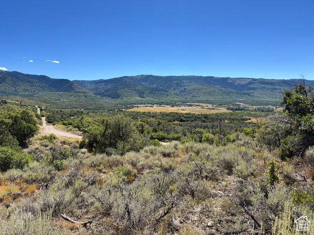 467, Fairview UT 84629