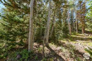 693 W HUNTER RIDGE DR, Brian Head UT 84719