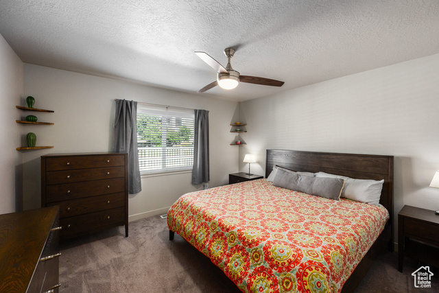 Photo 5 for MLS #2106242 at 3776 S Teal Run Way