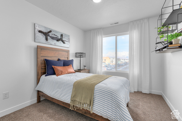 Photo 15 for MLS #2106341 at 4543 N Mckechnie Way #1116