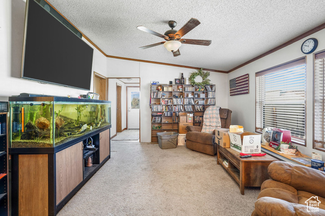 Photo 10 for MLS #2106380 at 2869 N 5150 West
