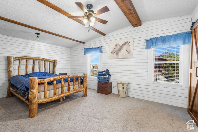 Photo 15 for MLS #2106380 at 2869 N 5150 West