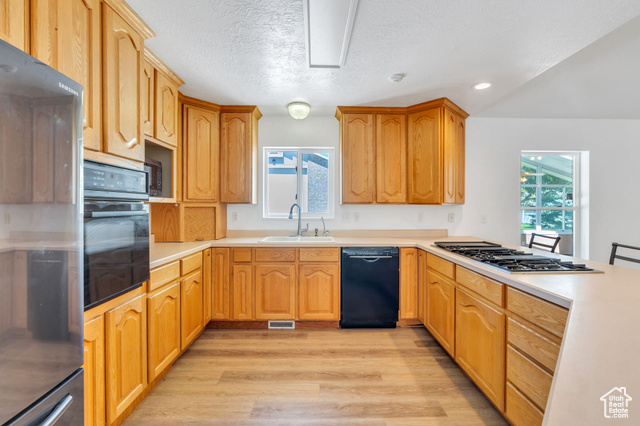 Photo 8 for MLS #2106450 at 246 W Golden Harvest Rd