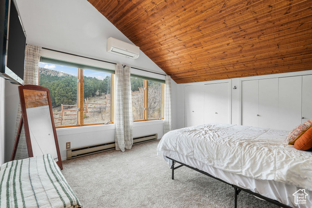 Photo 14 for MLS #2106477 at 14600 S Shaggy Mountain Rd