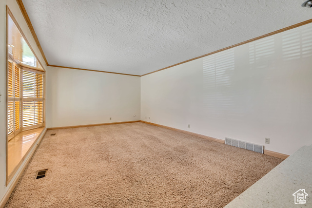 Photo 11 for MLS #2106478 at 8131 S Viscounti Dr