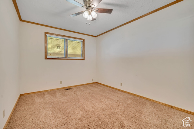 Photo 21 for MLS #2106478 at 8131 S Viscounti Dr