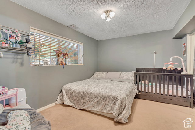 Photo 25 for MLS #2106481 at 6934 S Sparrowtail Rd