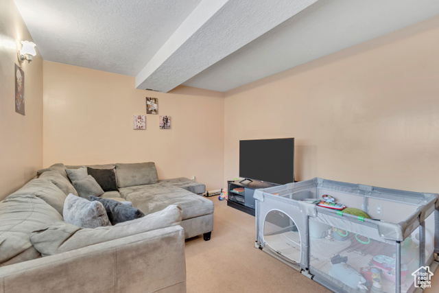 Photo 22 for MLS #2106481 at 6934 S Sparrowtail Rd