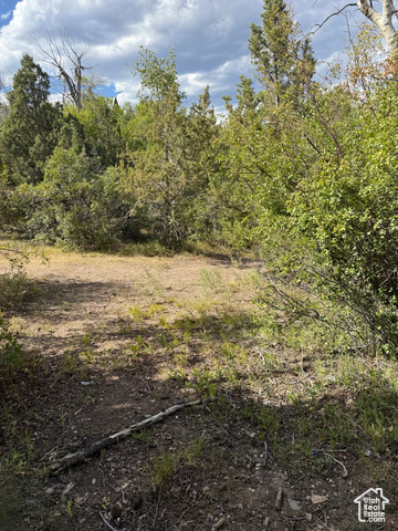Photo 57 for MLS #2106550 at 1001 Juniper Cir
