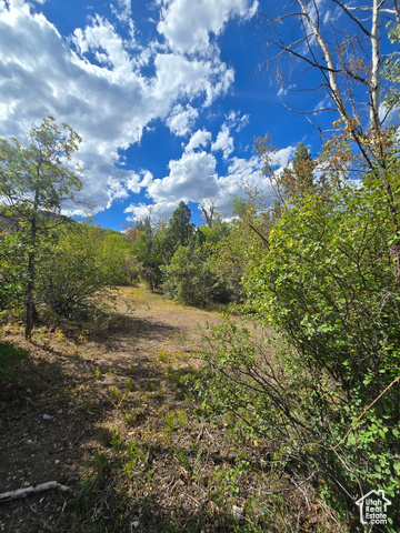 Photo 53 for MLS #2106550 at 1001 Juniper Cir