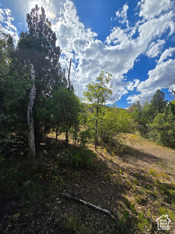Photo 54 for MLS #2106550 at 1001 Juniper Cir