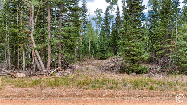 384 N 275 E, Brian Head UT 84719